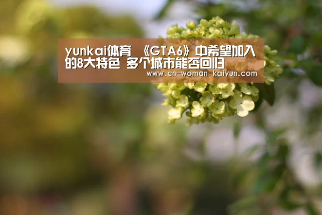 yunkai体育_《GTA6》中希望加入的8大特色 多个城市能否回归(图2) 云开体育官网